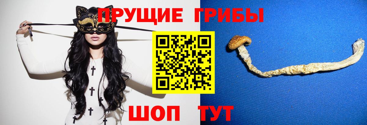 Галлюциногенные грибы MAGIC MUSHROOMS Кандалакша