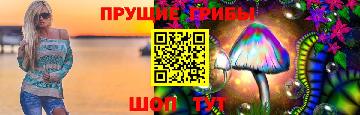 Псилоцибиновые грибы Magic Shrooms  что такое наркотик  Кандалакша  Вход с VPN 